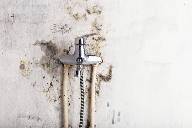 Best Bathroom Mold Remediation in Clarcona, FL