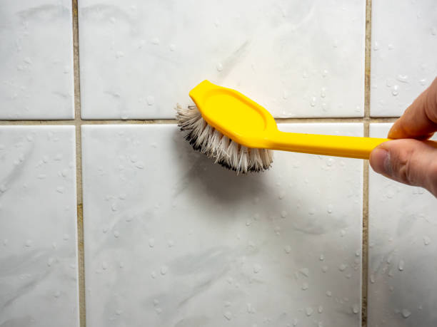 Best Emergency Mold Remediation in Clarcona, FL