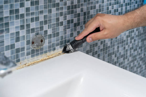Best White Mold Remediation in Clarcona, FL